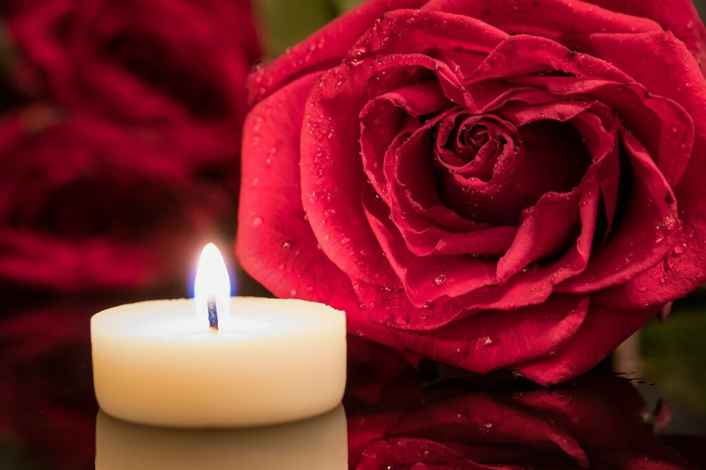 candle, red rose, candlelight