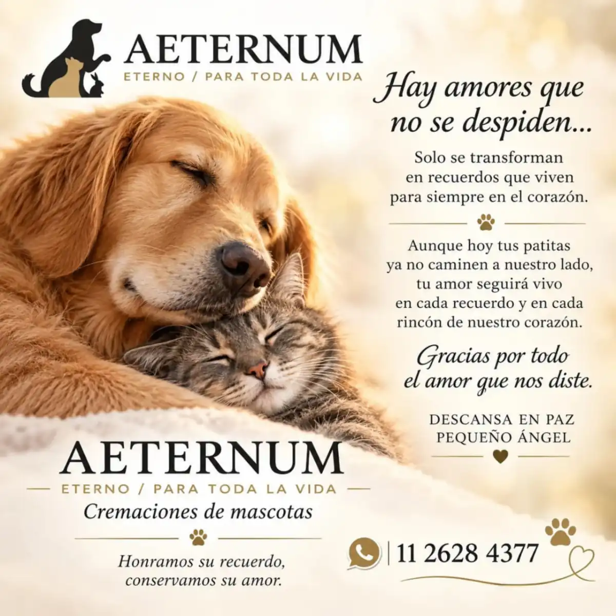 cremación de mascotas